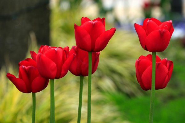 Revamp your bristol apartment balcony: essential tips for creating a child-safe urban oasis