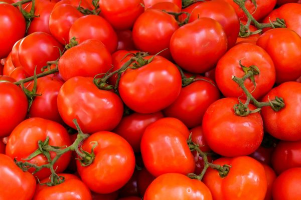 Explore the finest heirloom tomatoes for exceptional taste